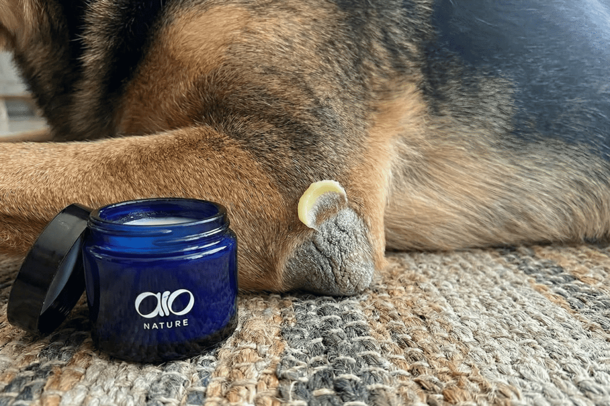 maść na modzele u psa